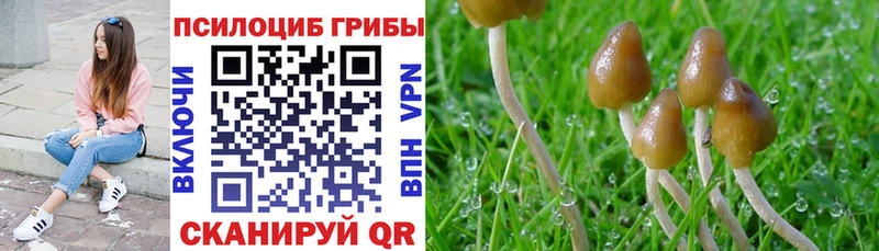Псилоцибиновые грибы GOLDEN TEACHER Избербаш